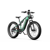 Электровелосипед DUOTTS E26 (1000W 48V 20Ah)